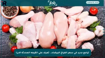 تراجع جديد في سعر الفراخ البيضاء.. تعرف على القيمة المحدثة الآن!